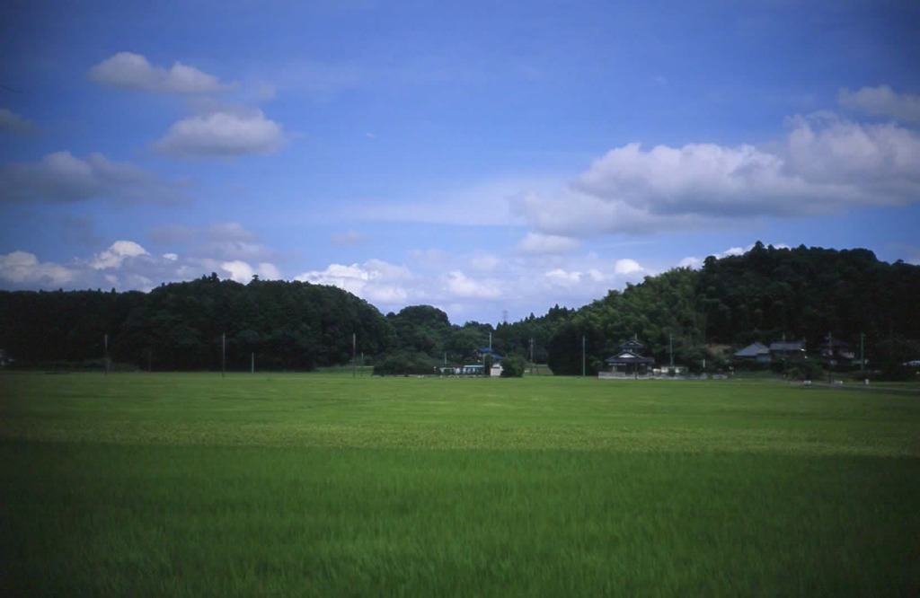 下総一の宮 香取神宮へ①