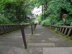 春日山神社石段上から・・・