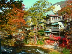秋の東山温泉郷