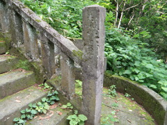 P6210023
