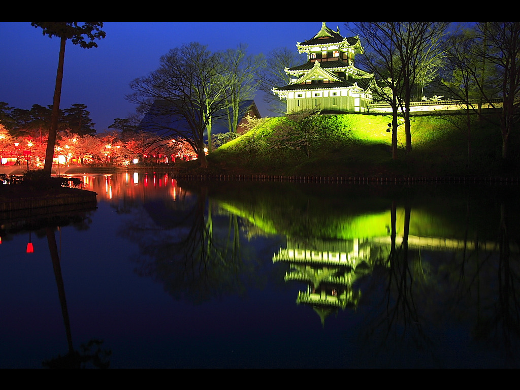 公園夜桜