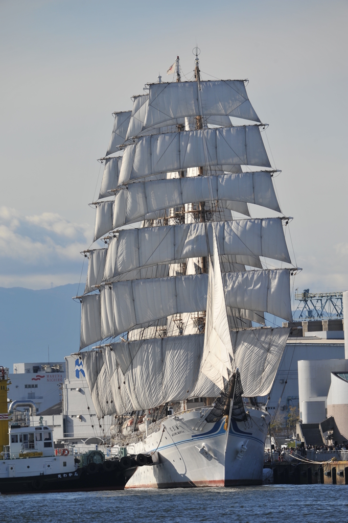 海王丸20121110名古屋港DSC_2461