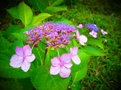 R0017854