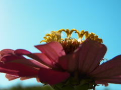 R0018031