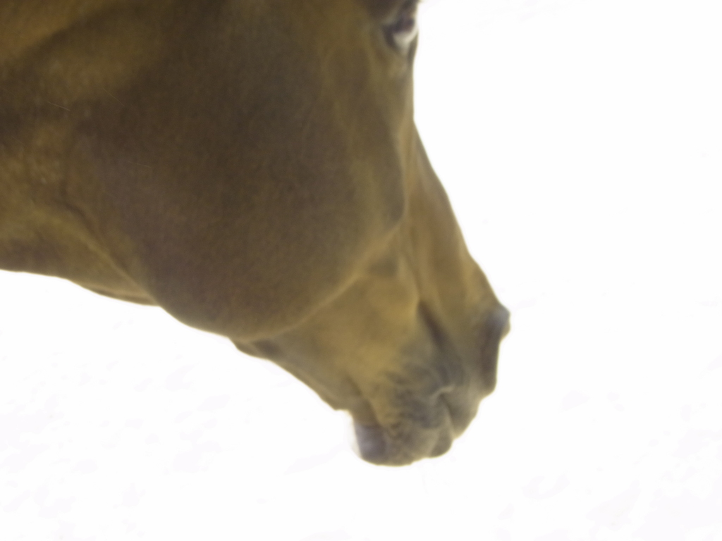 R0016781