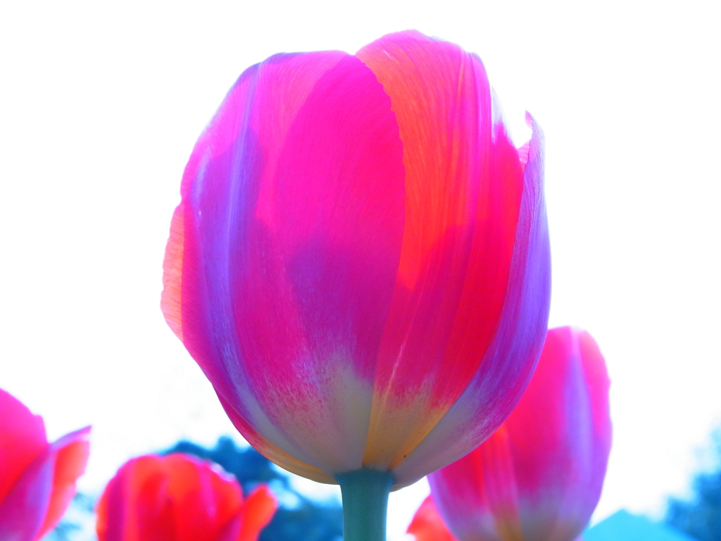 R0015937