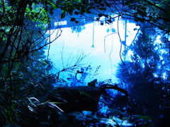 R0017595