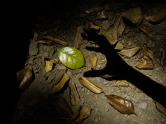 R0017249