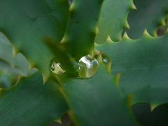 R0017972