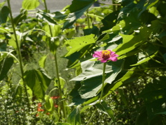 R0017995
