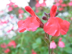 R0016362