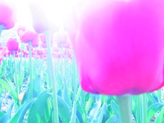 R0015991