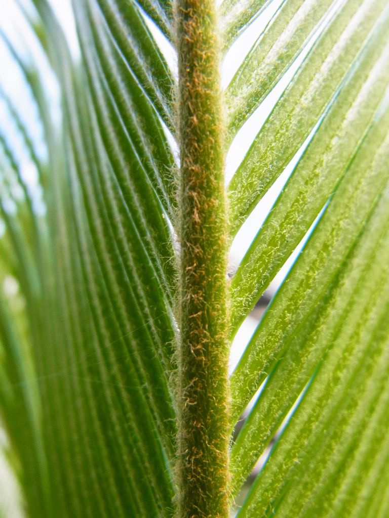 R0017842