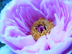 R0015891