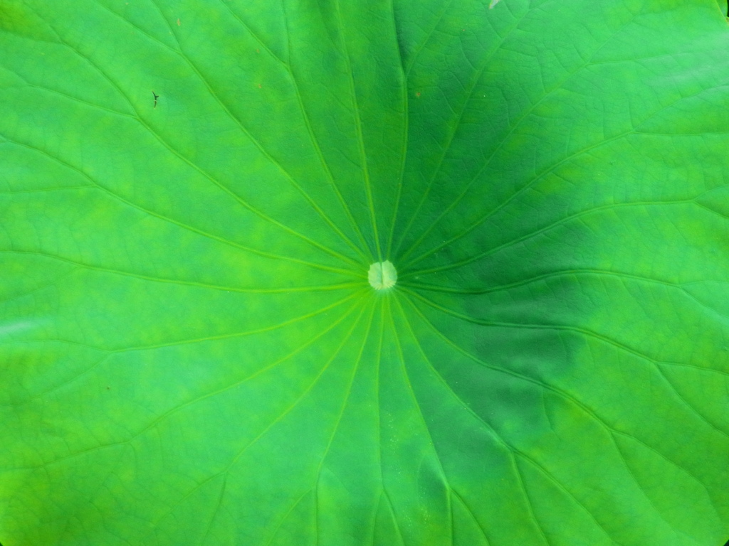 R0017826