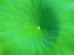 R0017826