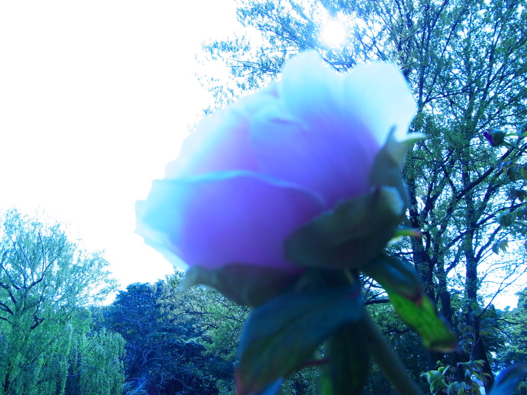 R0015889