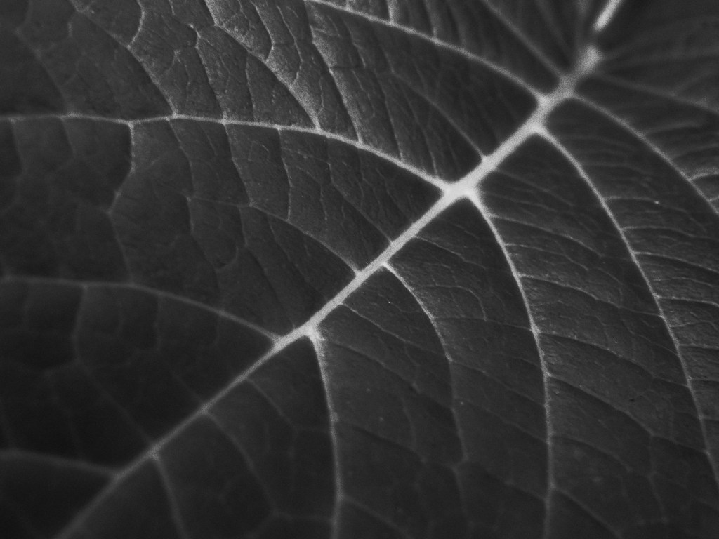 R0017769