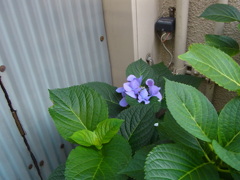 R0017757
