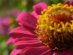 R0018019