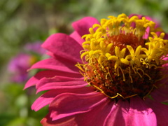 R0018025