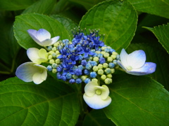 R0017861