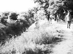 R0017421