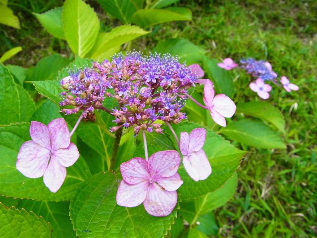 R0017853