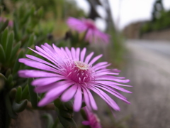 R0011227