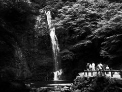 R0017261