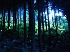 R0017116