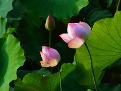 R0017831