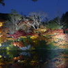 P1020643