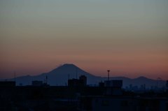遥か千葉から富士を望む