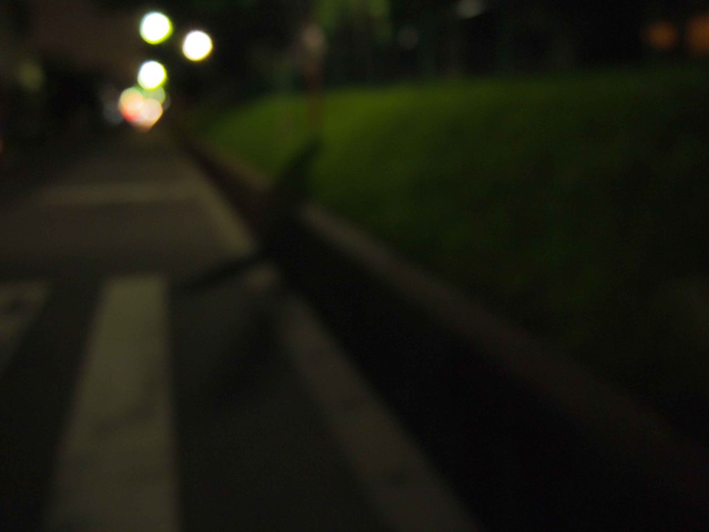 呑んだ、帰り道・・・・・