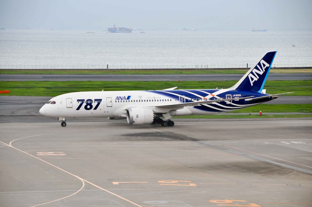 Dream Liner (JA802A)