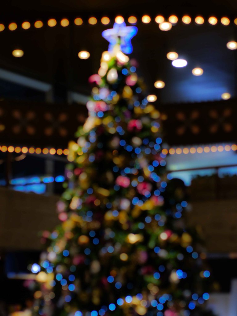 瞼の中のクリスマスツリー