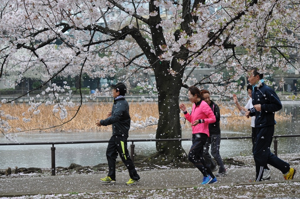 桜を浴びて