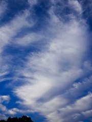 残暑雲