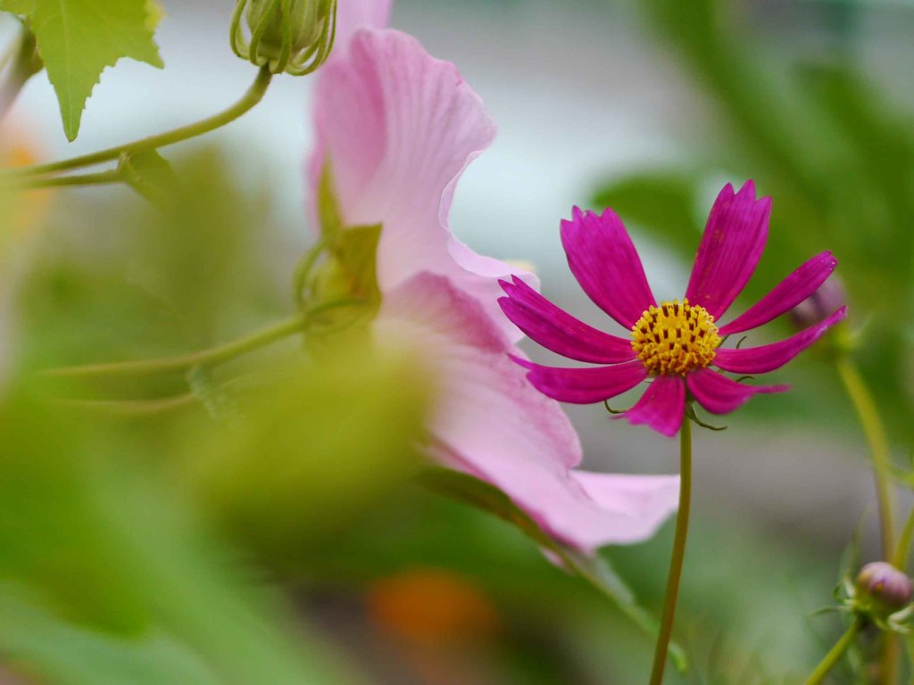 秋の足音・・・・・