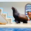 そっくりさん