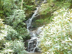 小滝