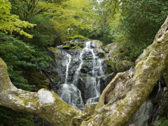 白糸の滝