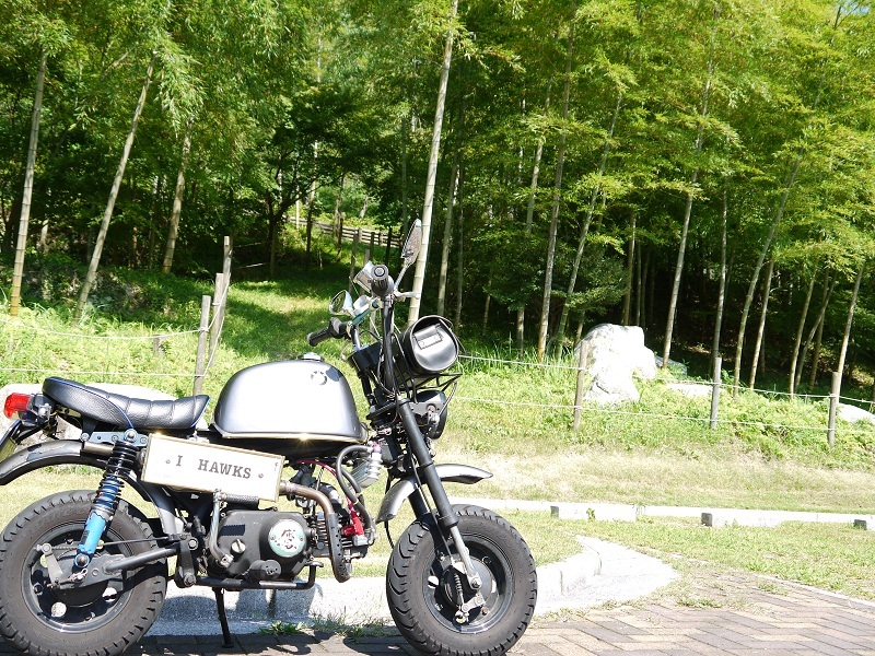 猫峠02
