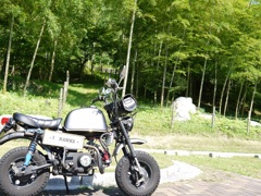 猫峠02