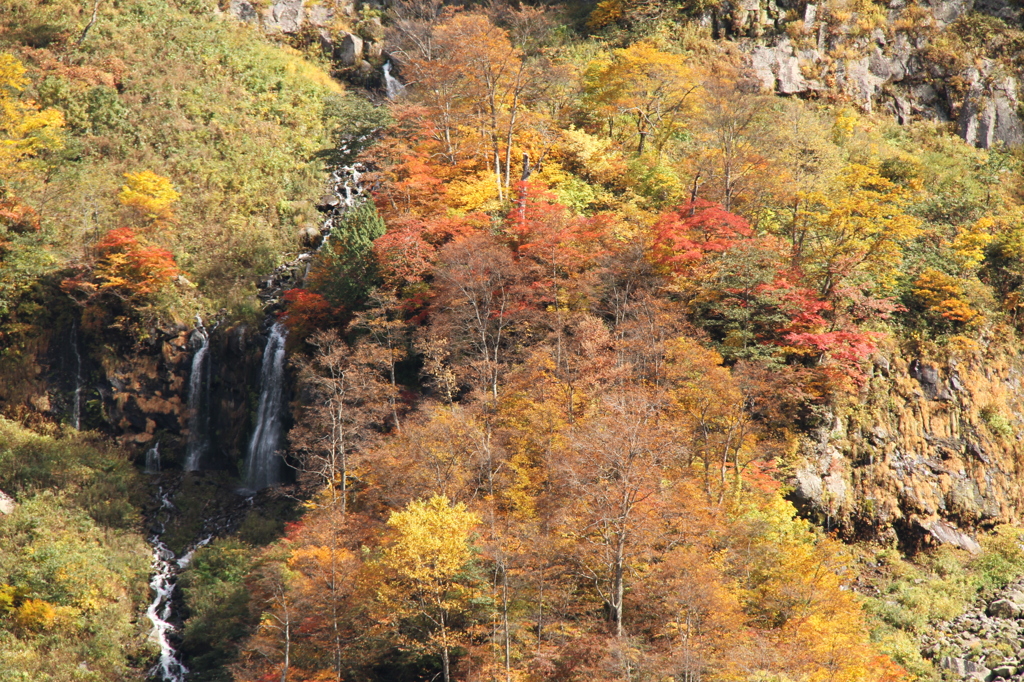 紅葉に染まる