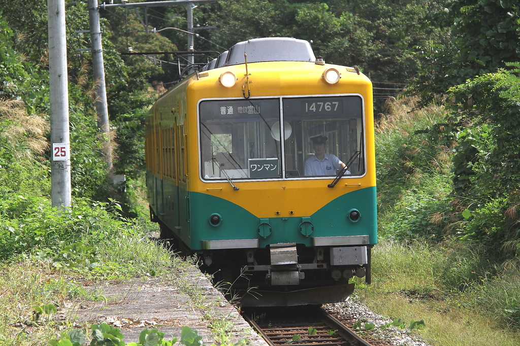 かぼちゃ電車