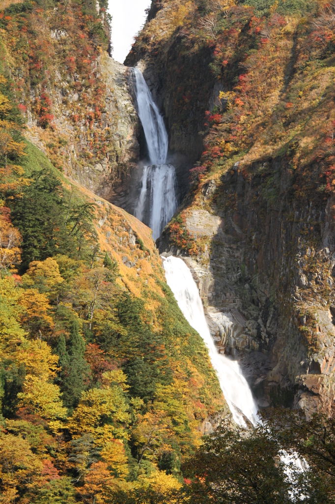 　称名滝