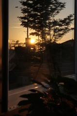 　窓に写る夕日