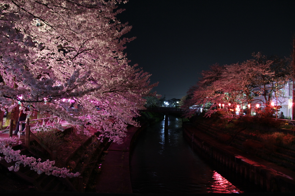 　夜のかお